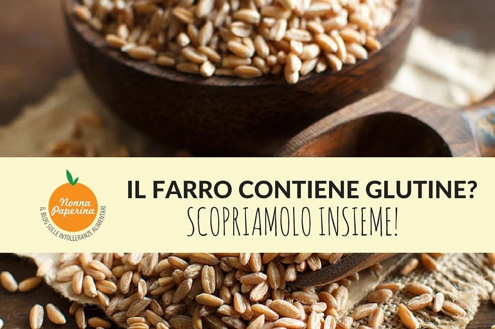 Il farro contiene glutine? Scopriamolo insieme! NonnaPaperina