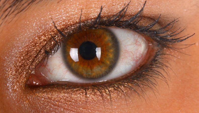 Parliamo della retina e degli alimenti che aiutano a proteggerla